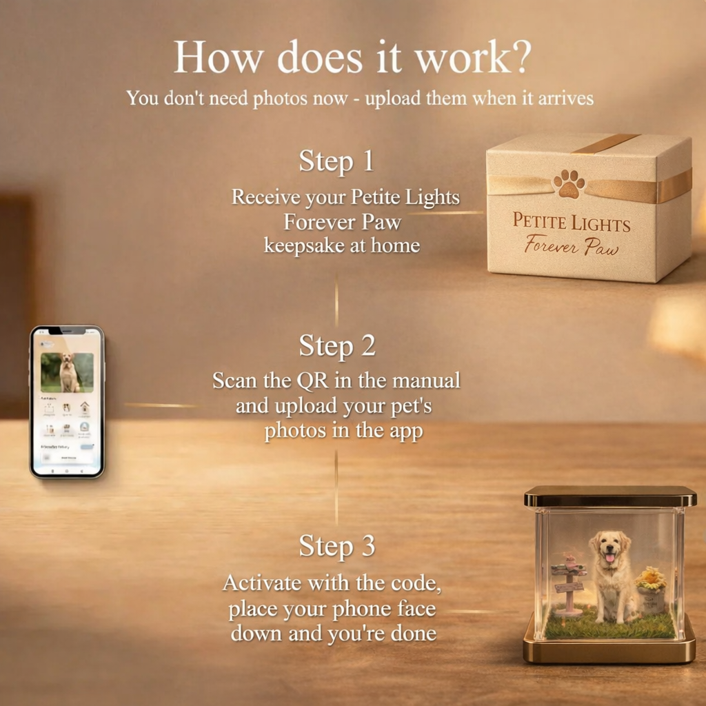 PETITE LIGHTS FOREVER PAW PETITE LIGHTS