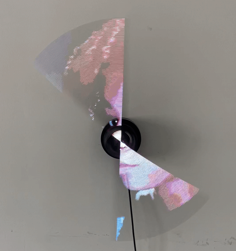 PETITE LIGHTS FAN PETITE LIGHTS