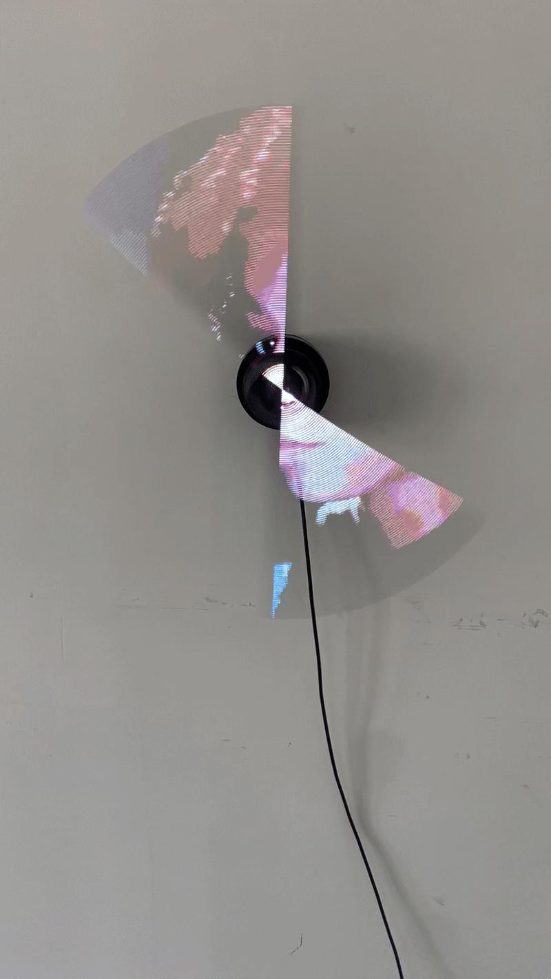 PETITE LIGHTS FAN