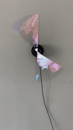 PETITE LIGHTS FAN