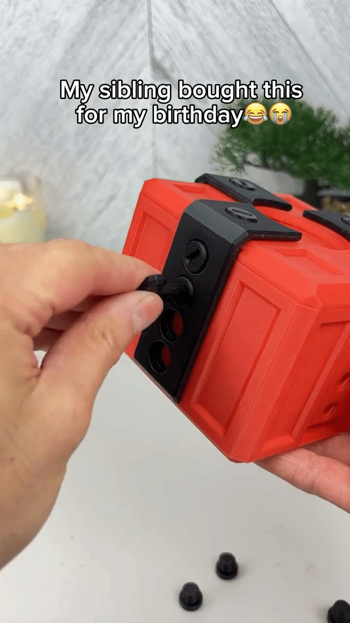 THE ANNOYING PRESENT™